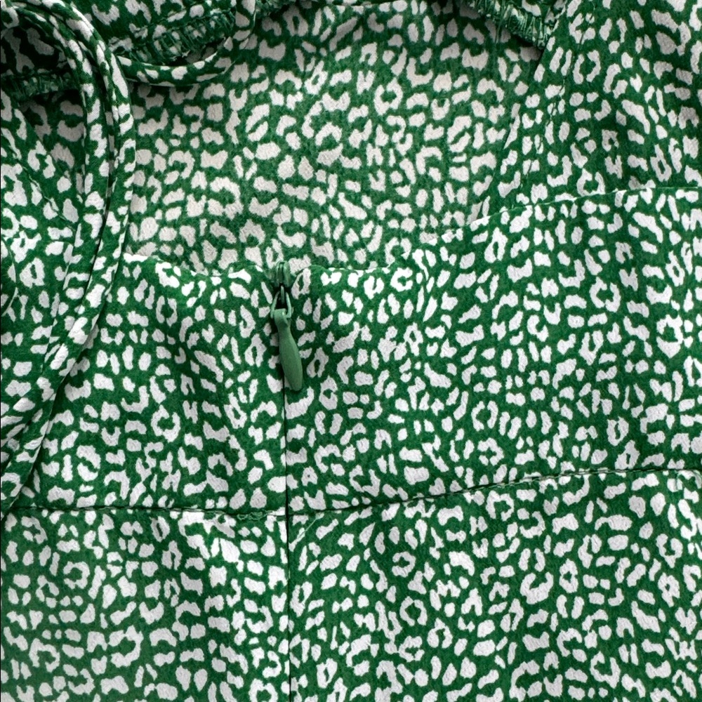 Zara - Animal Print Midi Dress - Picture 12 of 13